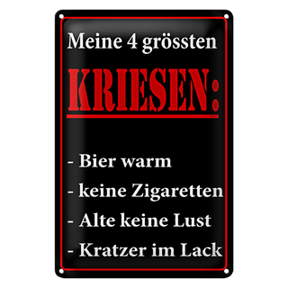 Blechschild Spruch 20x30cm Meine 4 grössten Kriesen