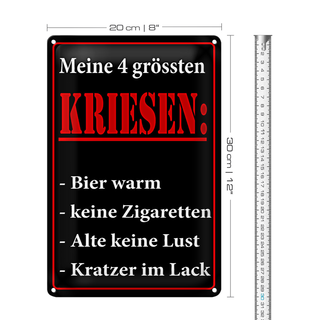 Blechschild Spruch 20x30cm Meine 4 grössten Kriesen