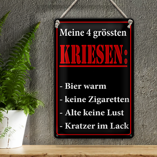Blechschild Spruch 20x30cm Meine 4 grössten Kriesen
