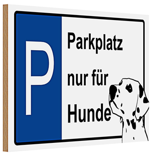 Holzschild Retro 30x20cm lake adventure Outdoor