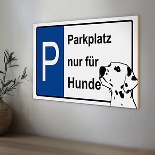 Holzschild Retro 30x20cm lake adventure Outdoor