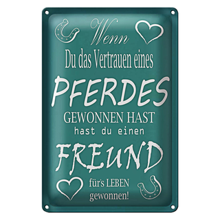 Blechschild Spruch 20x30cm Wenn du Vertrauen eines Pferdes