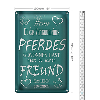 Blechschild Spruch 20x30cm Wenn du Vertrauen eines Pferdes