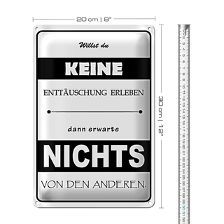 Blechschild Spruch 20x30cm Erwarte nichts von Anderen