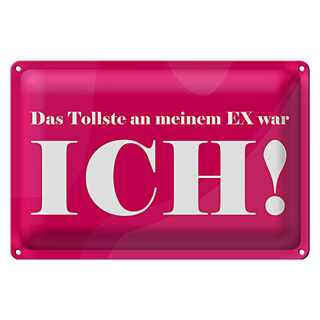Blechschild Spruch 30x20cm Das Tollste an meinem Ex