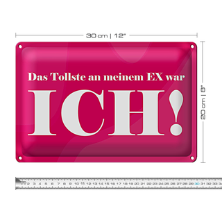 Blechschild Spruch 30x20cm Das Tollste an meinem Ex