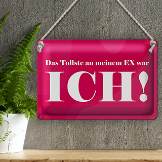 Blechschild Spruch 30x20cm Das Tollste an meinem Ex
