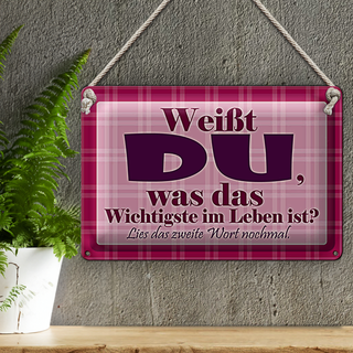 Blechschild Spruch 30x20cm Wichtigste bist DU