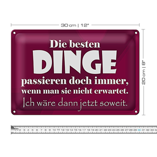 Blechschild Spruch 30x20cm Die besten Dinge nicht erwartet