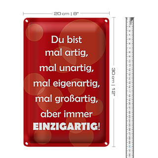 Blechschild Spruch 20x30cm Du bist Einzigartig