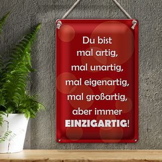 Blechschild Spruch 20x30cm Du bist Einzigartig