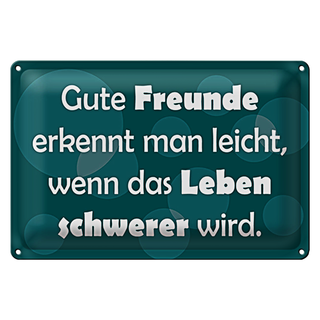 Blechschild Spruch 30x20cm Gute Freunde erkennt man leicht