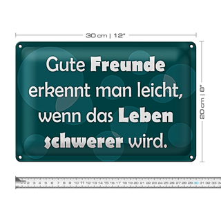 Blechschild Spruch 30x20cm Gute Freunde erkennt man leicht