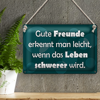 Blechschild Spruch 30x20cm Gute Freunde erkennt man leicht
