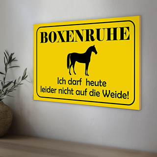 Holzschild Hinweis 30x20cm Boxenruhe nicht auf die Weide Pferd