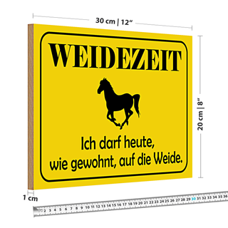 Holzschild Weidezeit 30x20cm ich darf heute auf die Weide