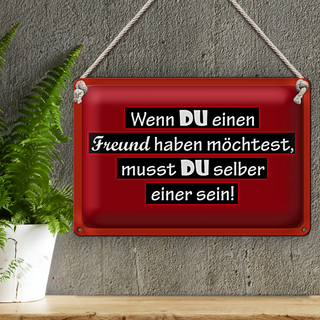 Blechschild Spruch 30x20cm wenn du einen Freund haben möchtest