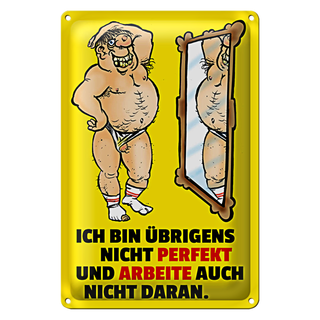 Blechschild Spruch 20x30cm ch bin übrigens nicht perfekt