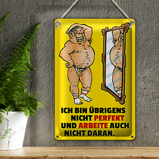 Blechschild Spruch 20x30cm ch bin übrigens nicht perfekt