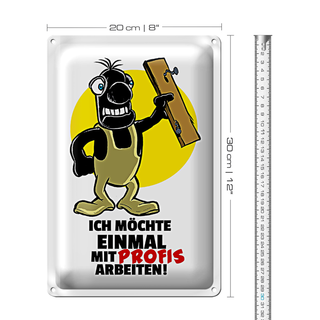 Blechschild Spruch 20x30cm Möchte einmal mit Profis arbeiten
