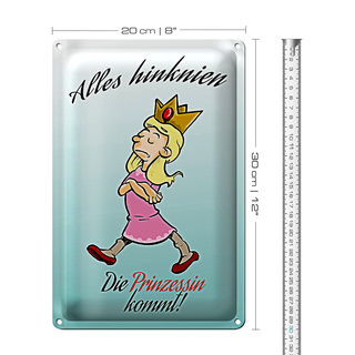 Blechschild Spruch 20x30cm Alles hinknien Prinzessin kommt