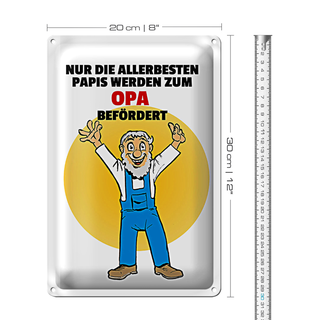 Blechschild Spruch 20x30cm Papis werden zum Opa befördert