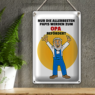 Blechschild Spruch 20x30cm Papis werden zum Opa befördert