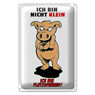 Blechschild Spruch 20x30cm Bin nicht klein bin platzsparend
