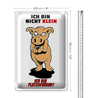 Blechschild Spruch 20x30cm Bin nicht klein bin platzsparend
