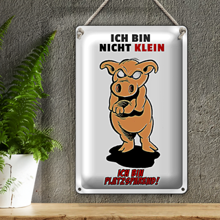 Blechschild Spruch 20x30cm Bin nicht klein bin platzsparend