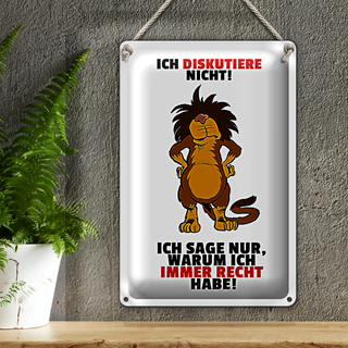Blechschild Spruch 20x30cm Ich diskutiere nicht habe Recht
