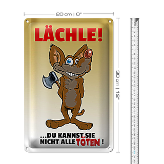 Blechschild Spruch 20x30cm Lächle Du kannst Sie nicht alle Töten