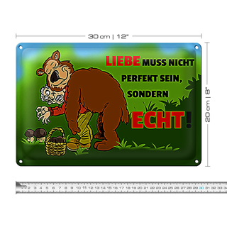 Blechschild Spruch 30x20cm Liebe nicht perfekt sondern echt sein