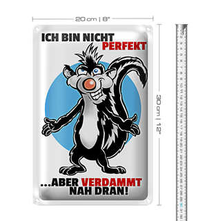 Blechschild Spruch 20x30cm Bin nicht perfekt aber nah dran