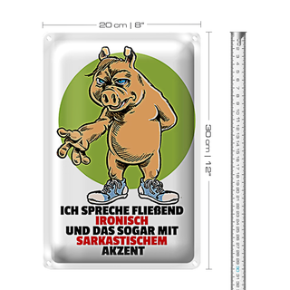 Blechschild Spruch 20x30cm Spreche fließend ironisch