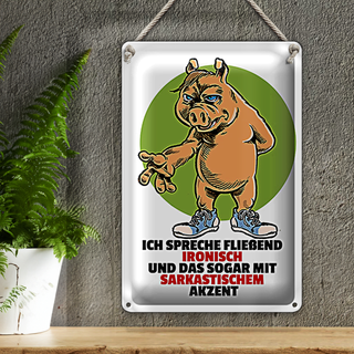Blechschild Spruch 20x30cm Spreche fließend ironisch