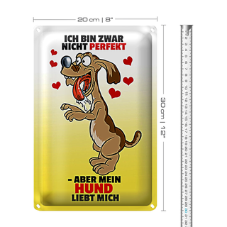 Blechschild Spruch 20x30cm nicht perfekt aber Hund liebt mich Schiild