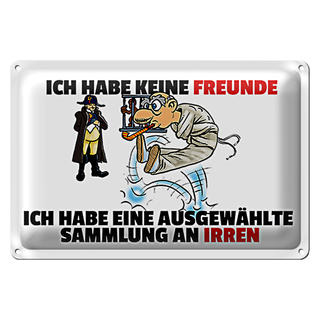 Blechschild Spruch 30x20cm keine Freunde Sammlung an Irren