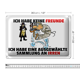 Blechschild Spruch 30x20cm keine Freunde Sammlung an Irren