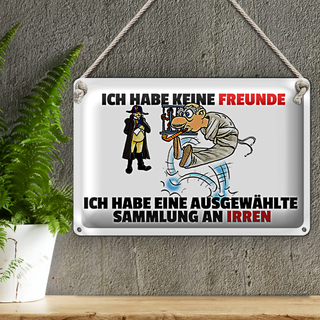 Blechschild Spruch 30x20cm keine Freunde Sammlung an Irren