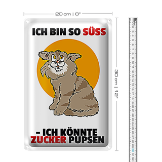 Blechschild Spruch 20x30cm Katze süß könnte Zucker pupsen