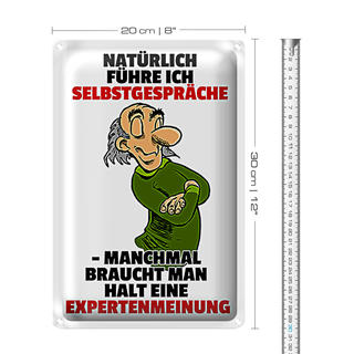 Blechschild Spruch 20x30cm Selbstgespräche Expertenmeinung