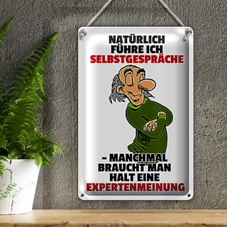 Blechschild Spruch 20x30cm Selbstgespräche Expertenmeinung