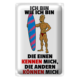 Blechschild Spruch 20x30cm einen kennen mich anderen können mich