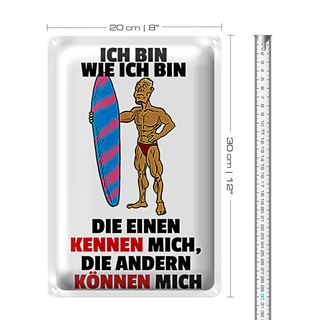 Blechschild Spruch 20x30cm einen kennen mich anderen können mich