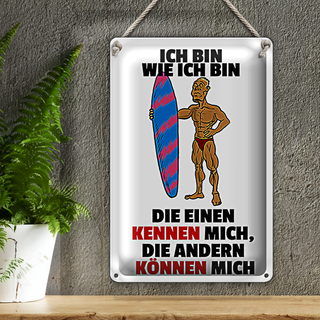 Blechschild Spruch 20x30cm einen kennen mich anderen können mich