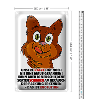 Blechschild Spruch 20x30cm Katze hat noch nie Maus gefangen