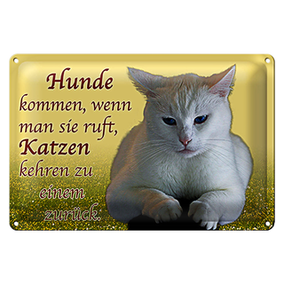 Blechschild Spruch 30x20cm Hunde kommen Katzen kehren zurück