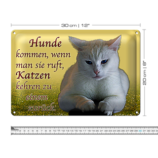 Blechschild Spruch 30x20cm Hunde kommen Katzen kehren zurück