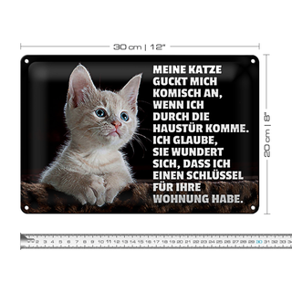 Blechschild Spruch 30x20cm Katze guckt mich komisch an